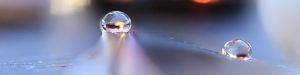 Zwei Wassertropfen