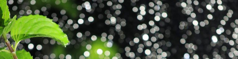 Minzblatt vor Lichtperlen-Hintergrund